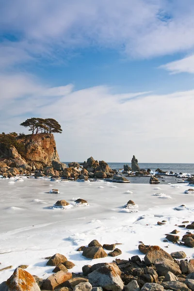 Inverno paisagem do mar, gelo do mar — Fotografia de Stock