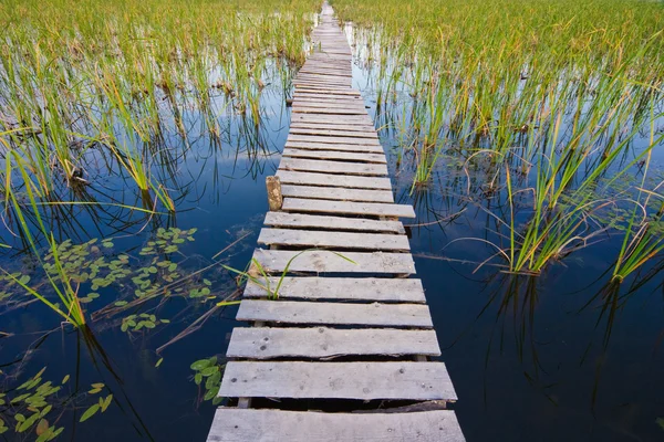 Yaz manzarası, göl arasında bir köprü — Stok fotoğraf