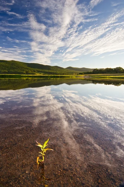 Primorye güzel göl — Stok fotoğraf