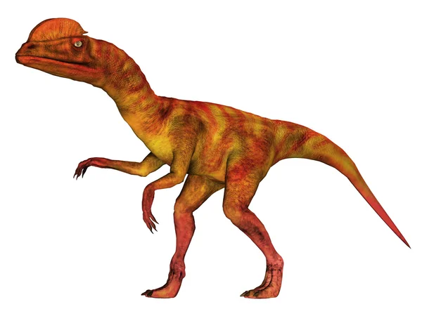 ディロフォサウルス — ストック写真