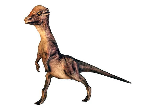 Dinosaurier — Stock Photo, Image