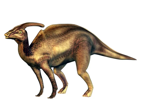 Parasaurolophus — Stok fotoğraf