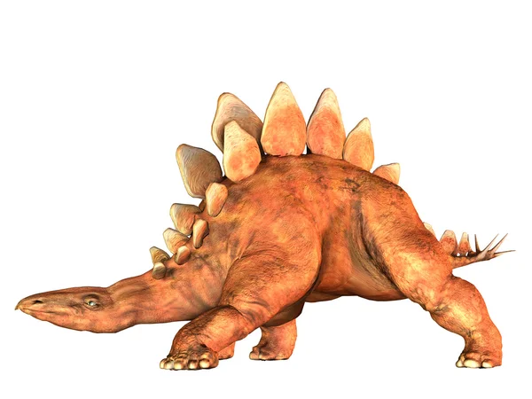 Estegosaurio — Foto de Stock
