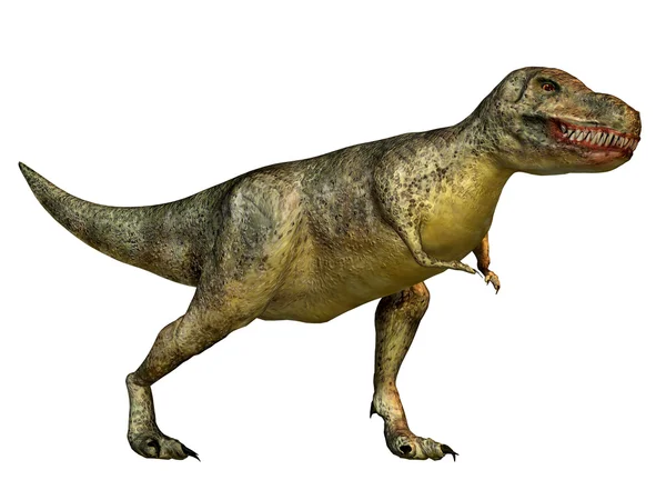 ティラノサウルス ・ レックス — ストック写真