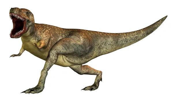 Tiranossauro Rex — Fotografia de Stock