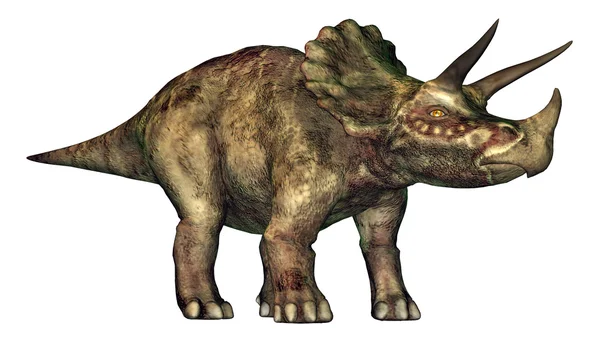 Triceratops — Stock Photo, Image