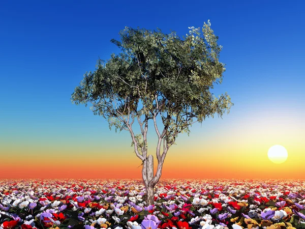 Albero con fiori — Foto Stock