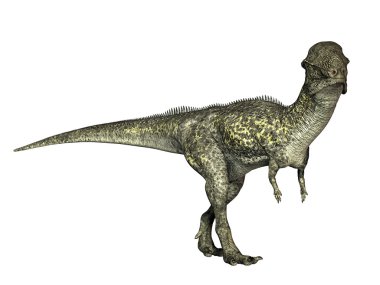 The Dinosaur Stegoceras clipart