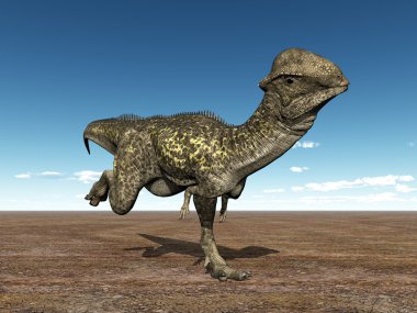 The Dinosaur Stegoceras clipart