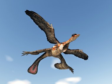 The feathered Dinosaur Microraptor clipart