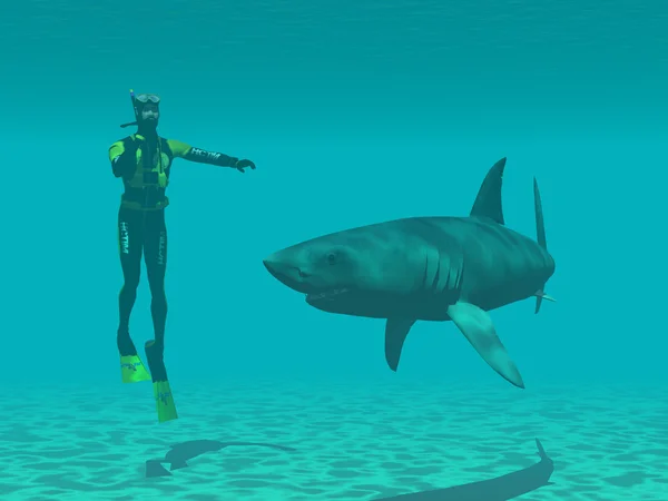 Дайвер с акулой — стоковое фото