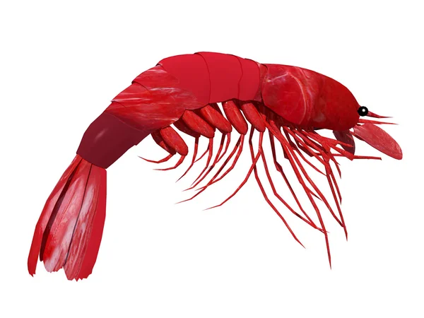 Lobster — Stok Foto
