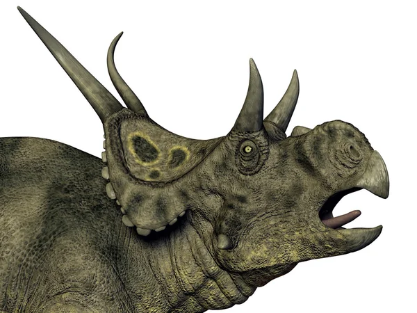 Dinosaurie diabloceratops — Stockfoto