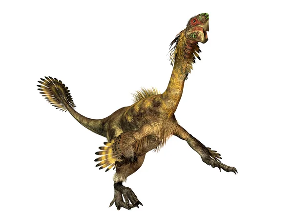 Dinozor citipati — Stok fotoğraf