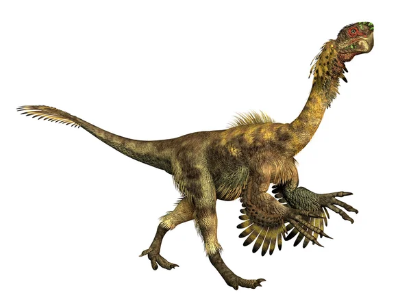 Dinosaurus citipati — Stock fotografie