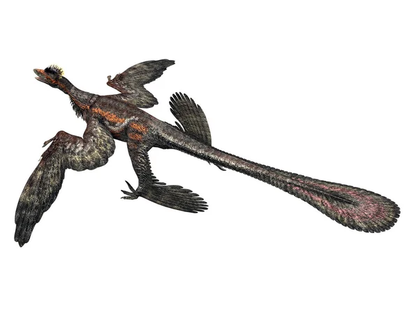 De gevederde dinosauriërs microraptor — Stockfoto