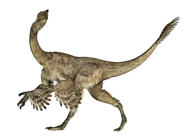 Citipati dinozaur — Zdjęcie stockowe