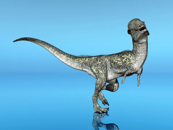 Динозавр Стегоцерас — стоковое фото