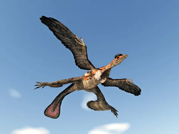 羽をつけられた恐竜ミクロラプトル — ストック写真