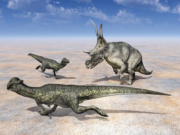 Dinossauro Diabloceratops e Dinossauro Stegoceras — Fotografia de Stock