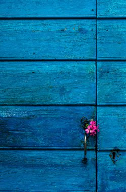 blauw houten deur met bloemen