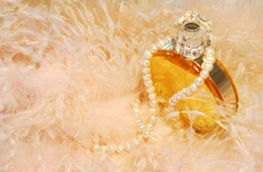 Feathers, necklace and perfume clipart