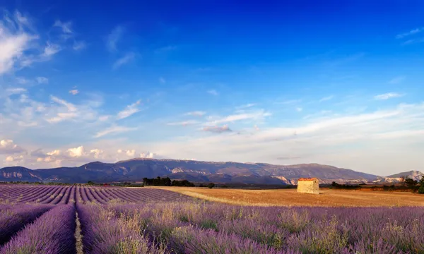 Landskap i provence, Frankrike — Stockfoto
