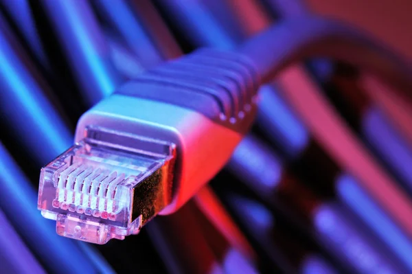 Высокоскоростной кабель Ethernet — стоковое фото