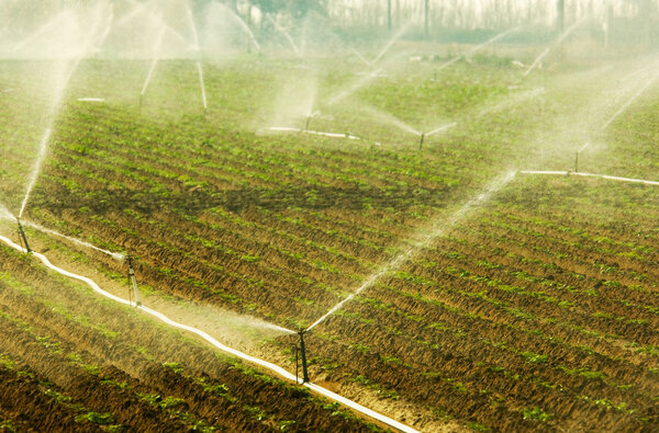 Irrigation