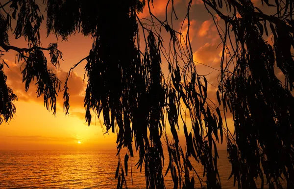 Pôr do sol Mediterrâneo — Fotografia de Stock