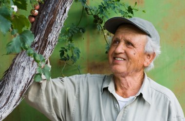 ağaca bakarak mutlu son sınıf