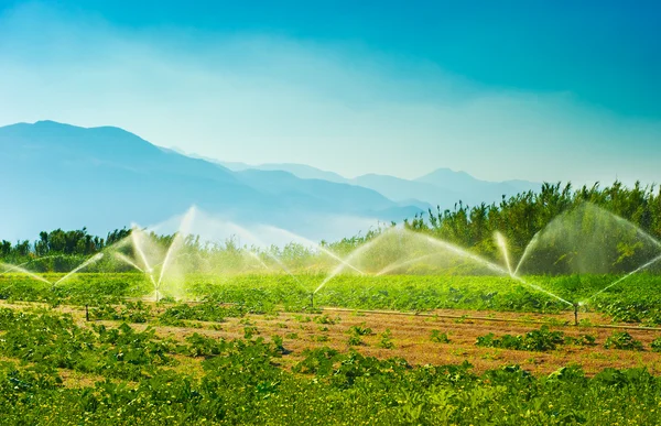 Irrigatie — Stockfoto