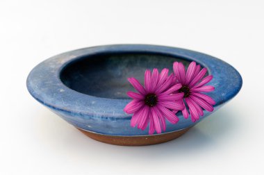 Bowl and flowers clipart