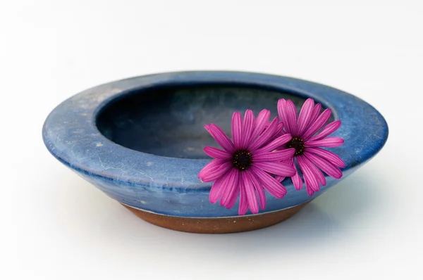 stock image Bowl and flowers