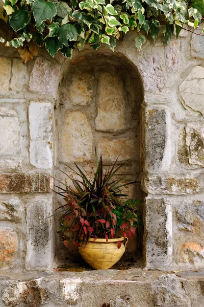 stock image Plant pot