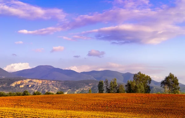 Stock image Farmland landscape