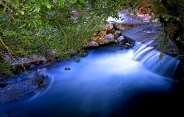 Flowing River Under Trees clipart