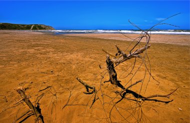 Sandy Red Beach Şubesi (Hdr ile)