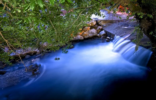 Stock image Flowing River Under Trees