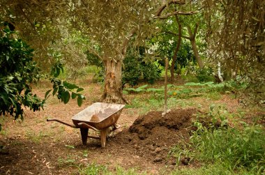 Wheel Barrow Next To Soil Heap clipart