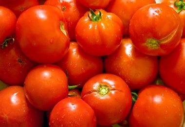 Wet Fresh Tomatoes clipart