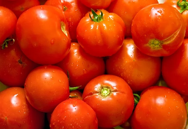 Islak taze domates — Stok fotoğraf