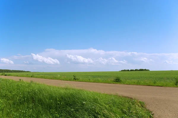 A estrada de terra através de um campo verde sob um céu azul com nuvens brancas — Fotografia de Stock