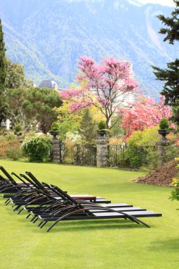 Chaise lounges on a lawn of the Alpine clipart