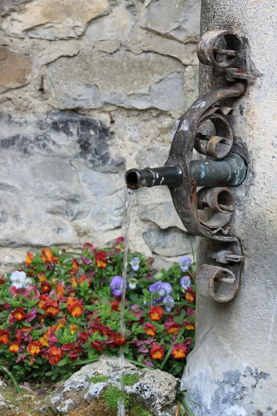 噴水と花壇 — ストック写真