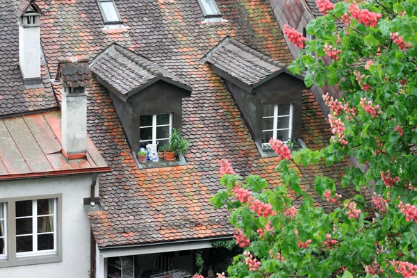 Techo de teja de la casa en una ciudad medieval en Europa — Foto de Stock