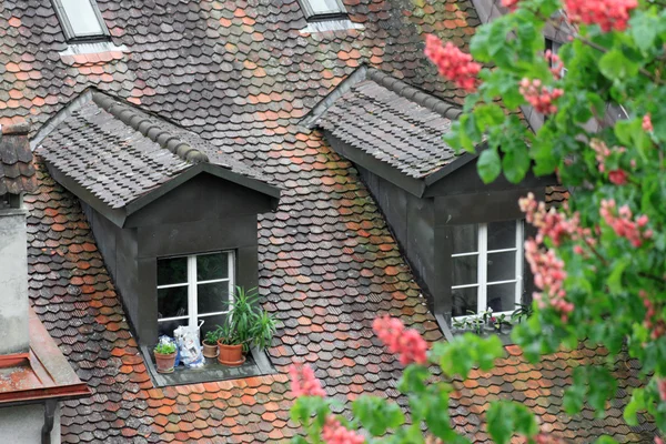 Ziegeldach des Hauses in einer mittelalterlichen Stadt in Europa — Stockfoto