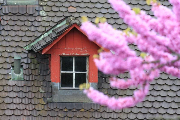 Albero fiorito contro un vecchio tetto di tegole — Foto Stock