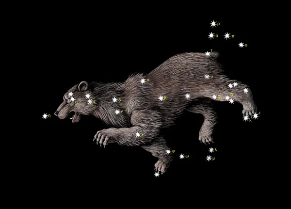 Constellation La Grande Ourse (Ursa Major ) — Photo