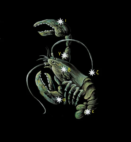 干支星座蟹 (がんのサインします。) — ストック写真